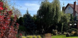 Детальный и стильный сад