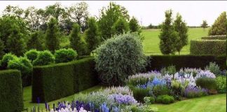 Цветовое сочетание