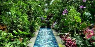 Декоративный пруд в саду