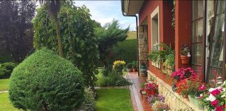 Яркий и насыщенный сад