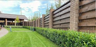 Кизильник – отличный бордюр