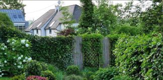 Насыщенный участок