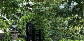 Входная зона на участок