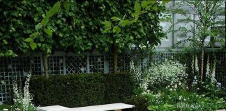 Ландшафтный дизайн: фото