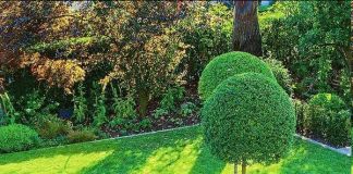 Как всё гармонично