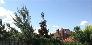 Дорожки из камня