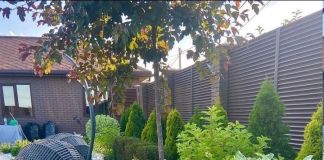 Оформление возле забора