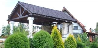 Хвойные на участке