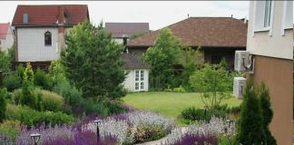 Река из шалфея