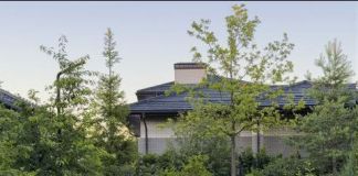 Извилистые дорожки