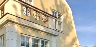 Аннабель гортензия: фото