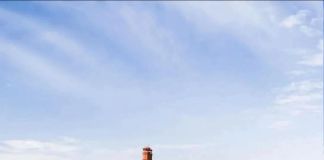 Дом в стиле лесной архитектуры