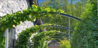 Дизайн приусадебного участка