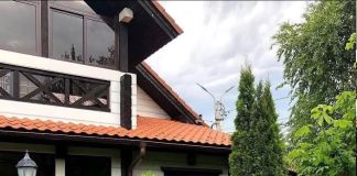 Сочетания хвойных растений: фото