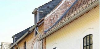 Гортензия: фото