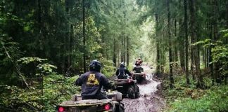 Прогулка на квадроциклах по лесу