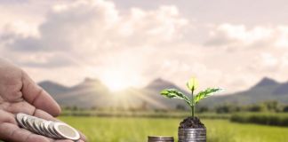 Бизнес на земле сельхозназначения