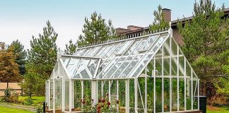 Чем обработать теплицу на зиму от вредителей