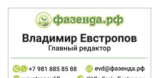 Правила размещения статей