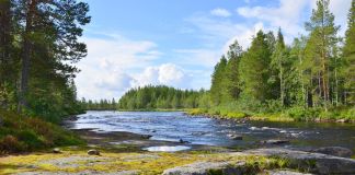 Что посмотреть в Карелии летом