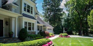 Газонная трава для дачного участка