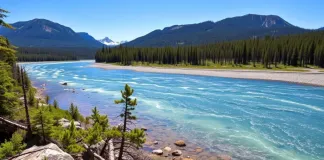 Купить участок в Кемеровской области