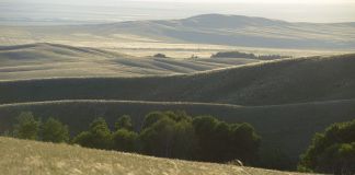 Купить участок в Оренбургской области