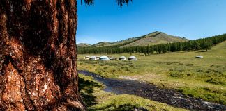 Где лучше купить участок в Тыве