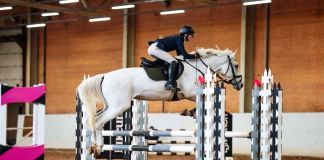 Где покататься на лошадях в Кировском районе