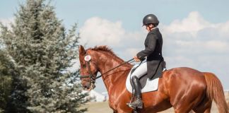 Чем полезно катание на лошадях