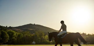 Где покататься на лошадях в Кингисеппском районе